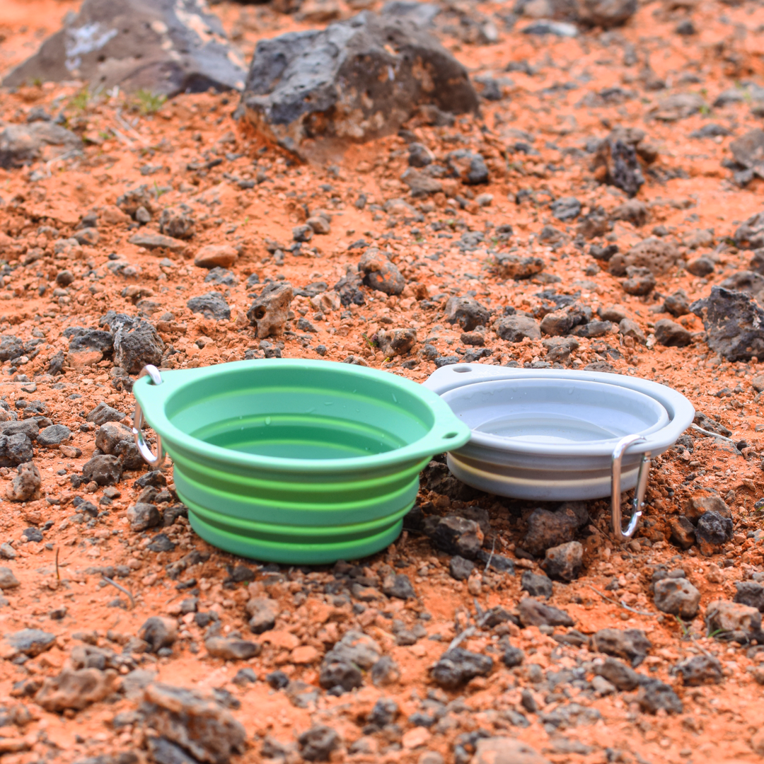 Collapsible Bowl (pack of 2)