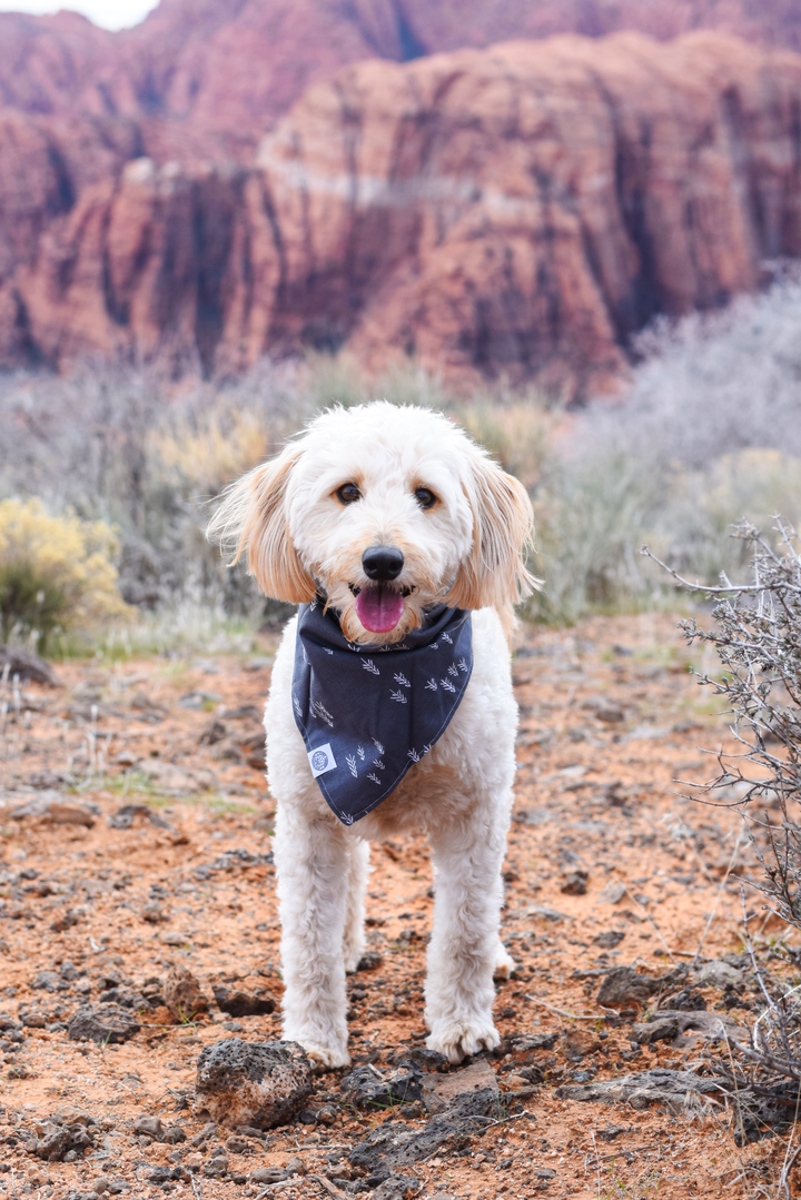 Bandana